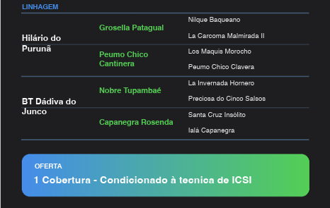 Geração CAPANEGRA JACARTA