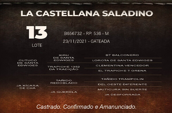 Geração LA CASTELLANA SALADINO