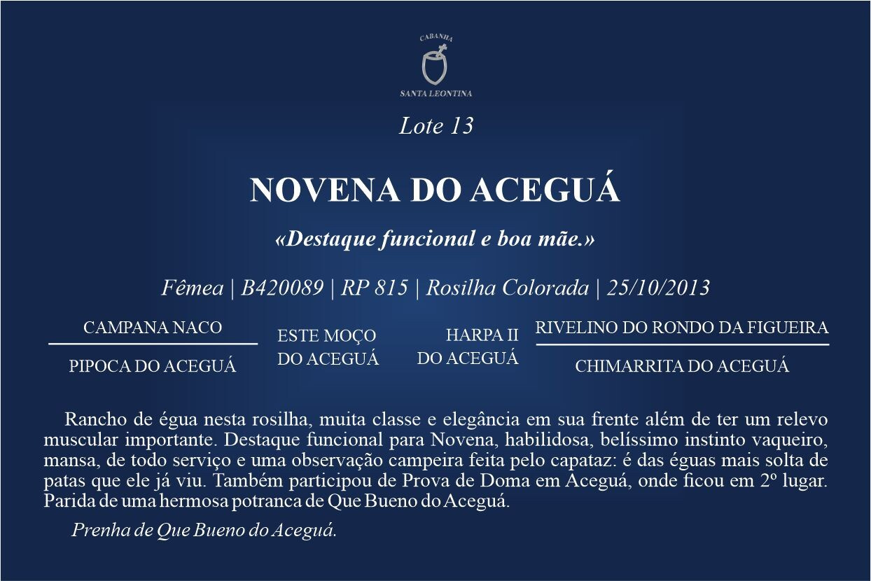 Geração NOVENA DO ACEGUÁ