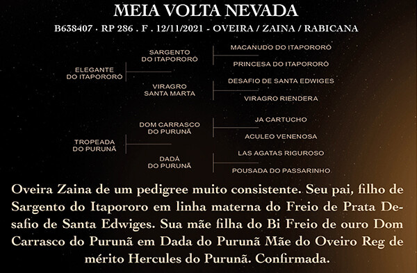 Geração MEIA VOLTA NEVADA