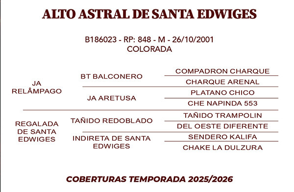 Geração ALTO ASTRAL DE SANTA EDWIGES 