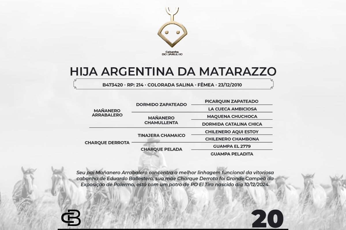Geração HIJA ARGENTINA DA MATARAZZO