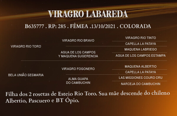 Geração VIRAGRO LABAREDA 
