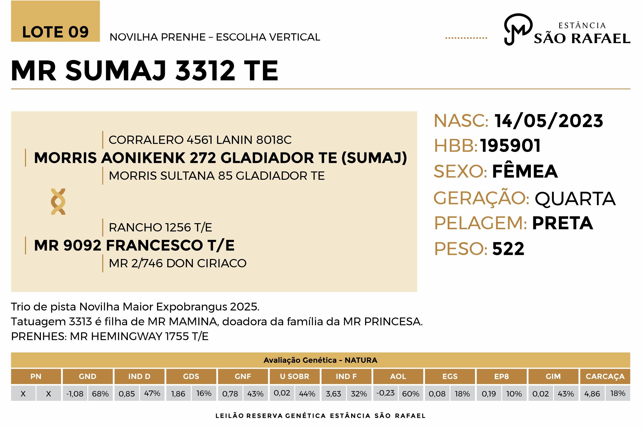 Geração MR SUMAJ 3312 TE - VENDA VERTICAL