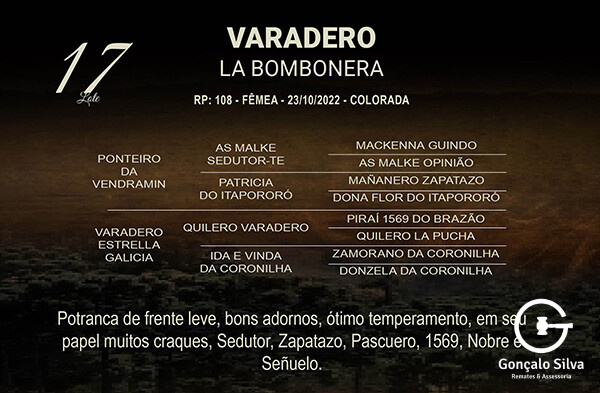 Geração VARADERO LA BOMBONERA