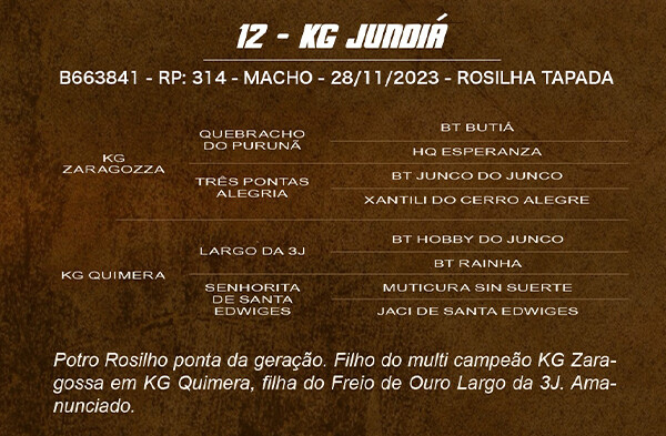 Geração KG JUNDIÁ