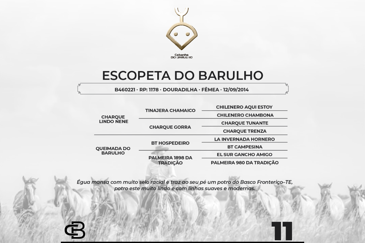 Geração ESCOPETA DO BARULHO
