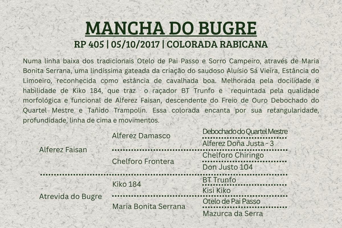 Geração MANCHA DO BUGRE