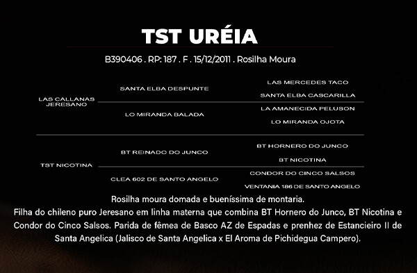 Geração TST UREIA