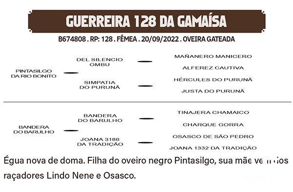 Geração GUERREIRA 128 DA GAMAISA