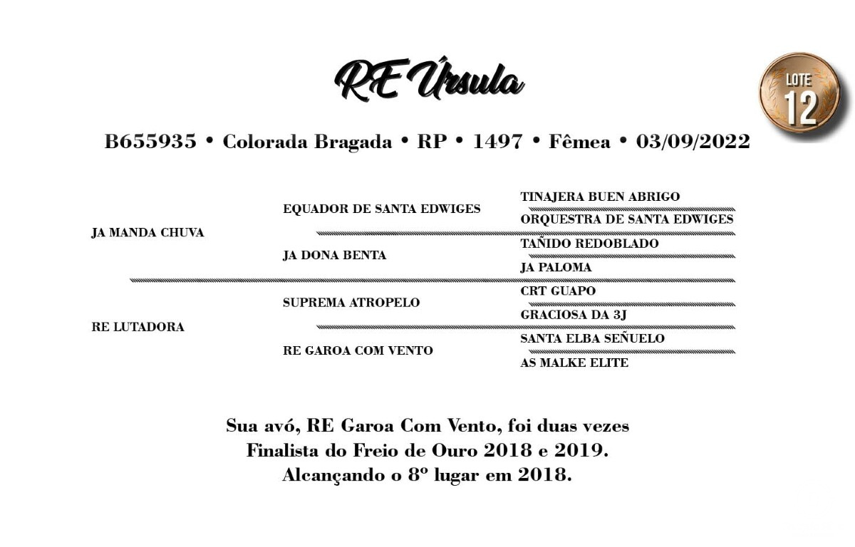 Geração RE URSULA (VENDA VERTICAL)