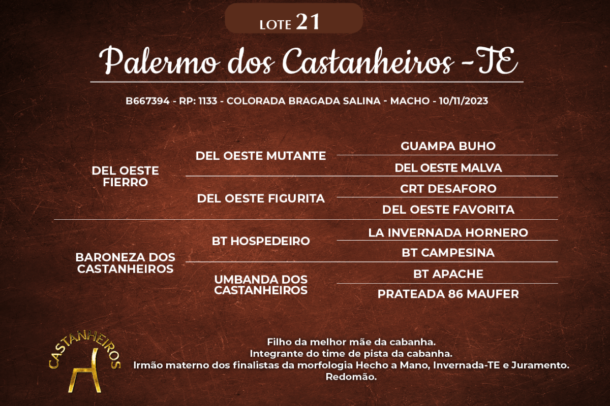 Geração PALERMOO DOS CASTANHEIROS-TE