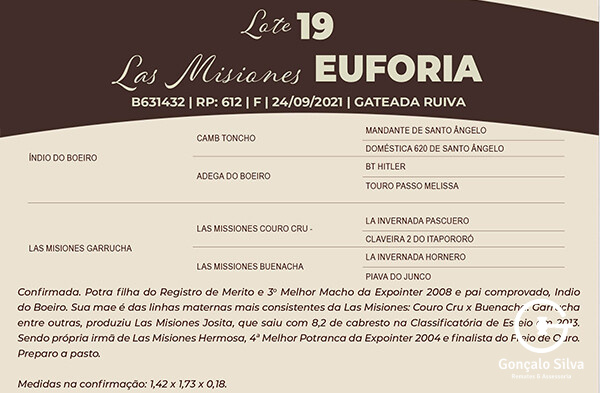 Geração LAS MISIONES EUFORIA 