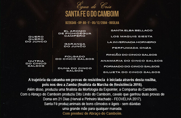 Geração SANTA FÉ G DO CAMBOIM