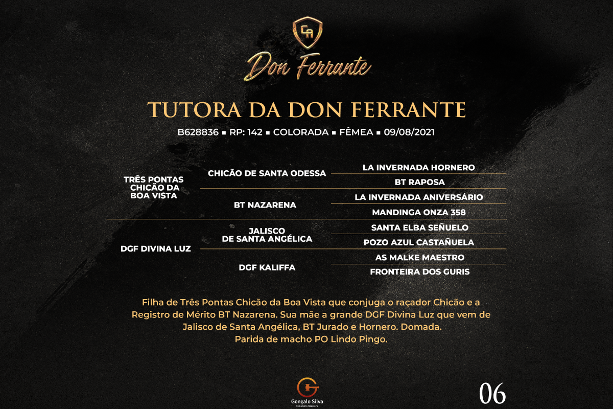 Geração TUTORA DA DON FERRANTE 