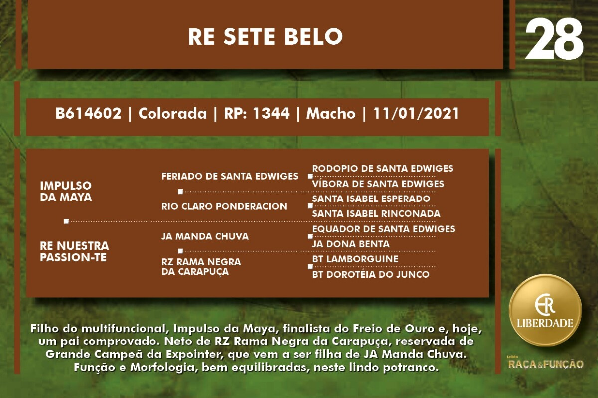 Geração RE SETE BELO