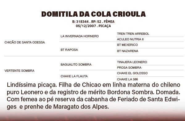 Geração DOMITILA DA COLA CRIOULA
