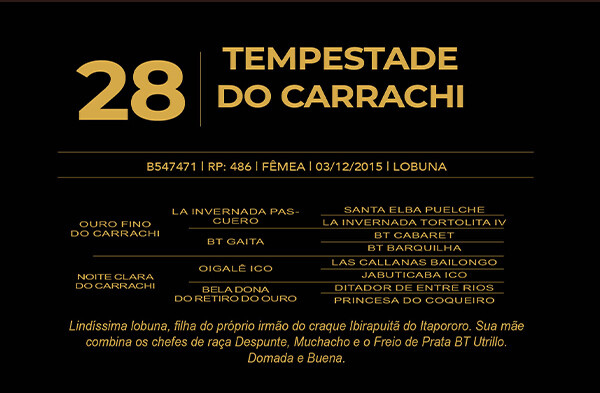 Geração TEMPESTADE DO CARRACHI