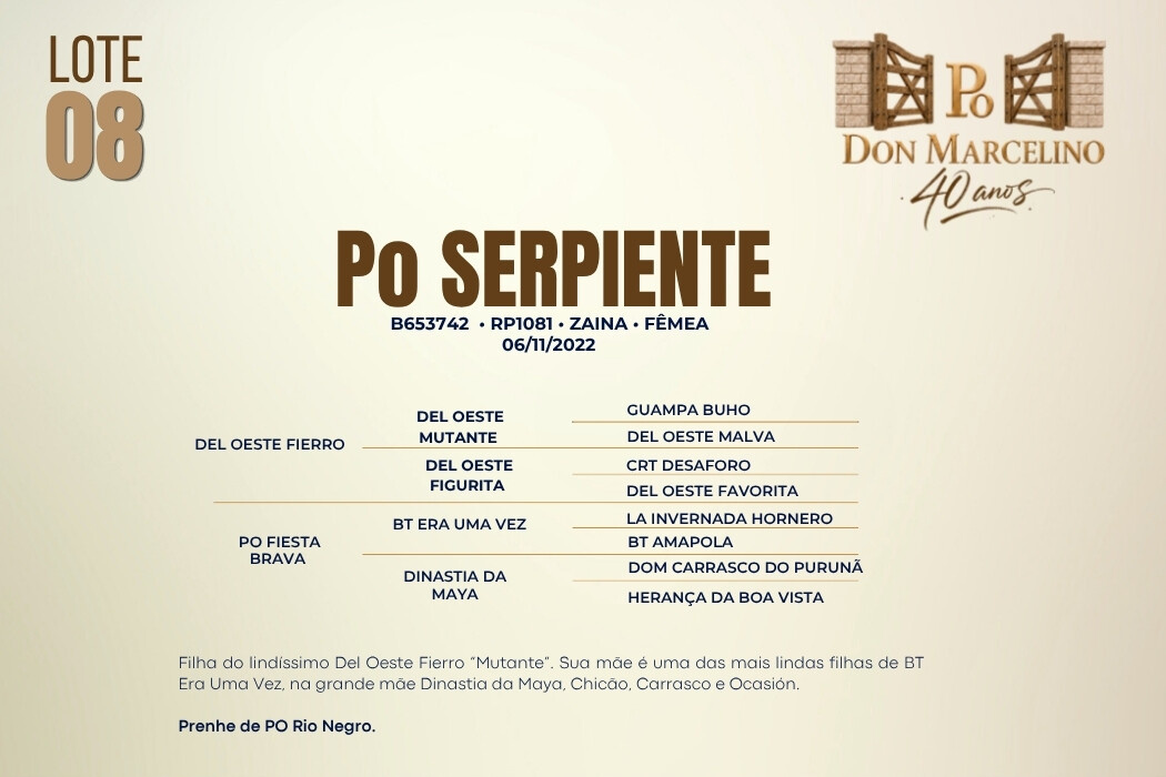 Geração PO SERPIENTE