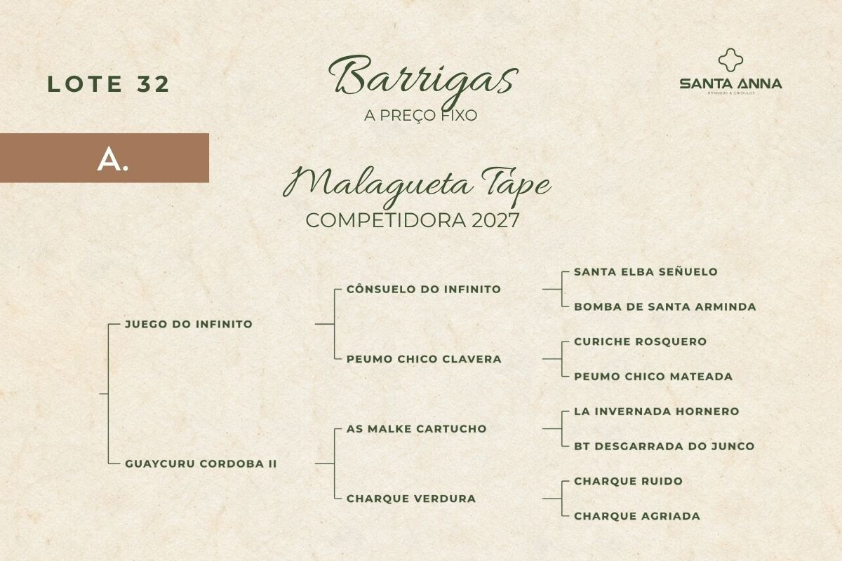 Geração MALAGUETA TAPE