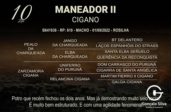 Geração MANEADOR II CIGANO