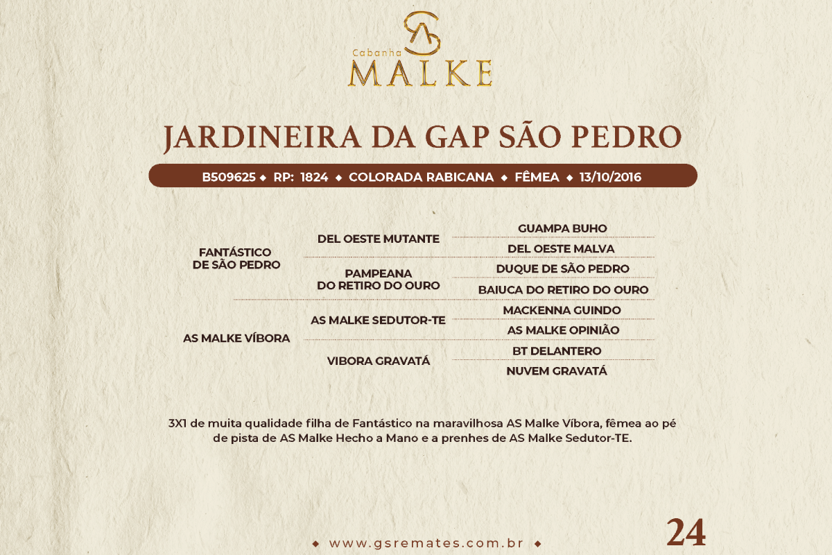 Geração JARDINEIRA DA GAP SÃO PEDRO