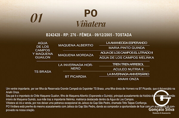 Geração PO VIÑATERA