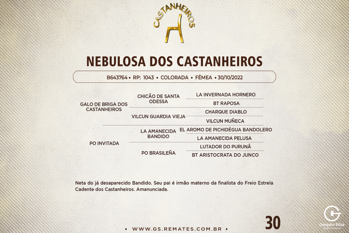 Geração NEBULOSA DOS CASTANHEIROS
