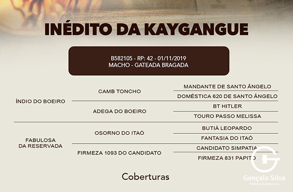 Geração COBERTURA INÉDITO DA KAYGANGUE