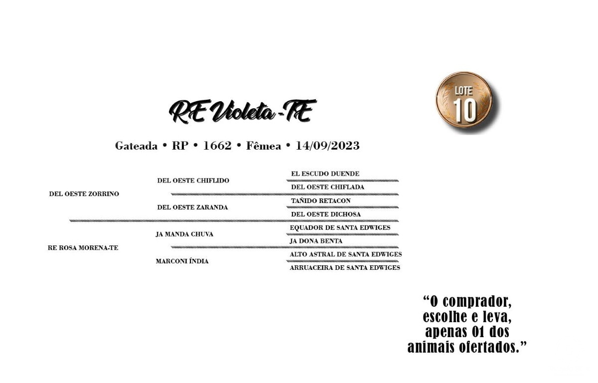 Geração RE VIOLETA-TE (VENDA VERTICAL)