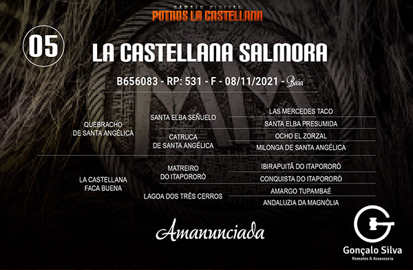 Geração LA CASTELLA SALMORA