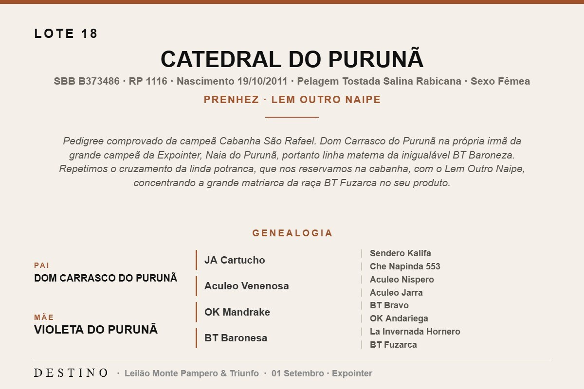 Geração CATEDRAL DO PURUNÃ