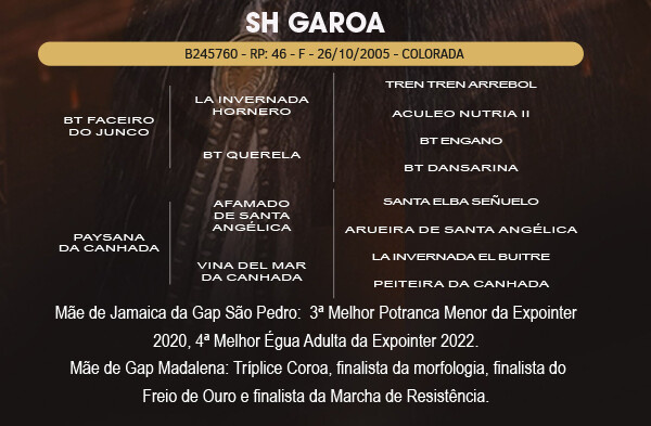 Geração EMBRIAO LIVRE ACASALAMENTO SH GAROA 