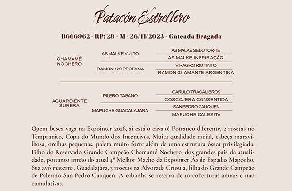 Geração PATACÓN ESTRELLERO