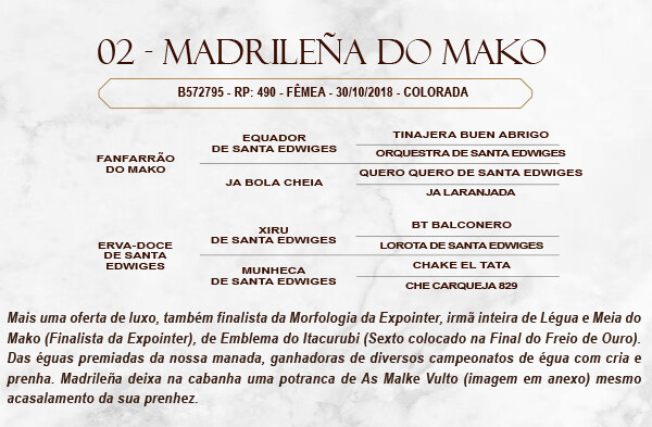 Geração MADRILEÑA DO MAKO