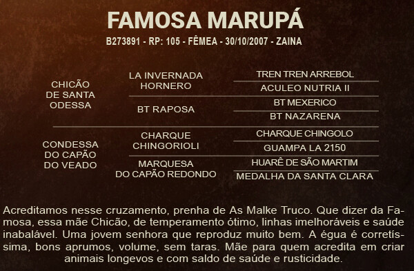 Geração FAMOSA MARUPÁ