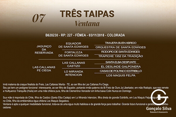 Geração TRÊ TAIPAS VENTANA