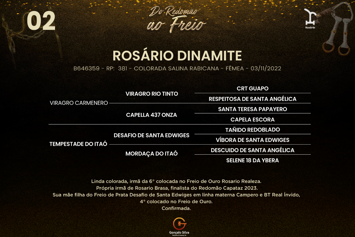 Geração ROSÁRIO DINAMITE