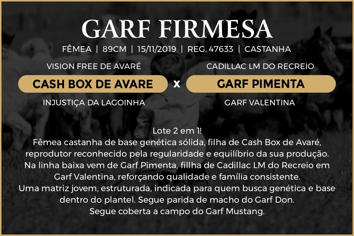 Geração GARF FIRMESA