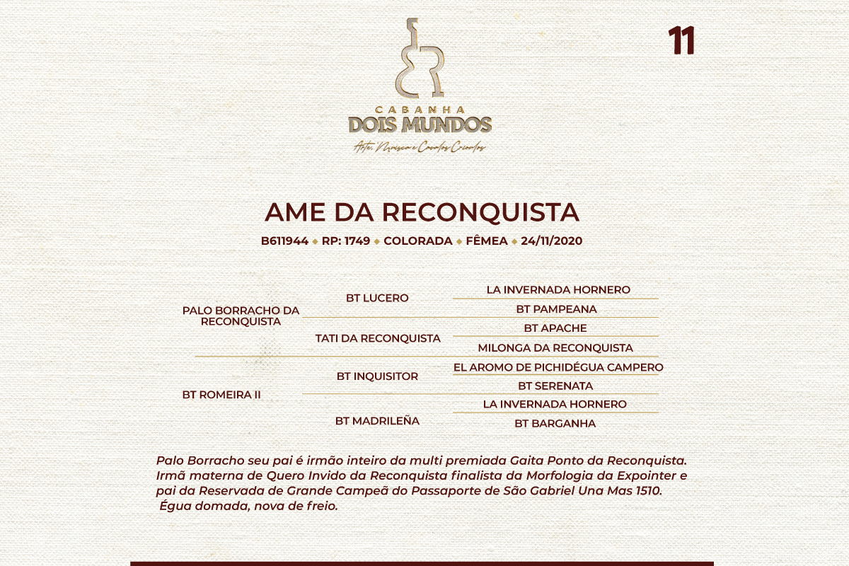 Geração AME DA RECONQUISTA