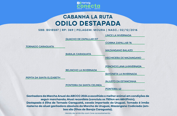 Geração ODILO DESTAPADA - (ELEIÇÃO DE EMBRIÃO)