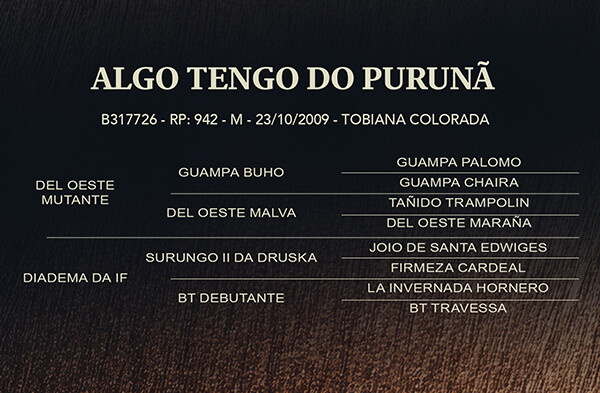 Geração ALGO TENGO DO PURUNÃ ou PO BANDIDAZO