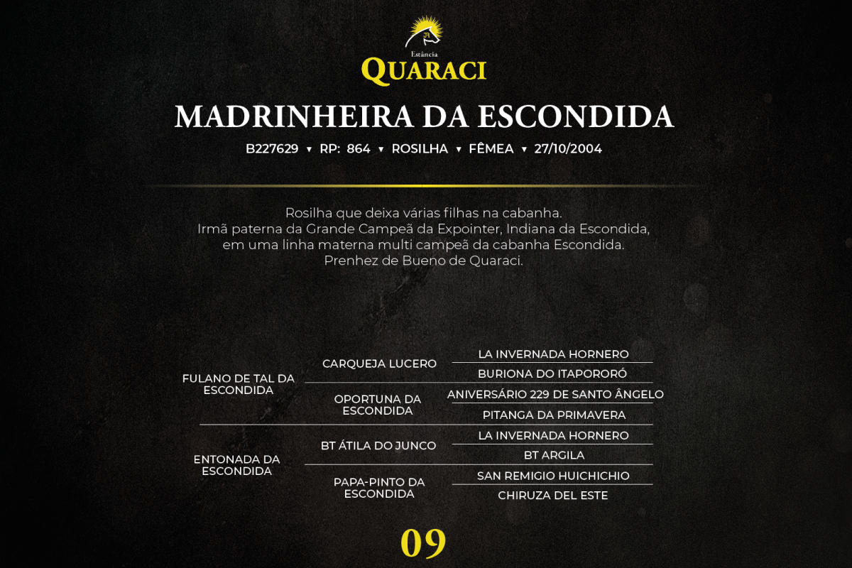 Geração MADRINHEIRA DA ESCONDIDA