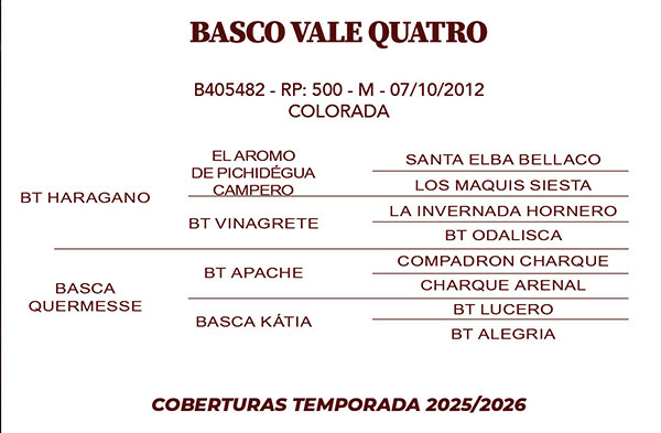 Geração BASCO VALE QUATRO 
