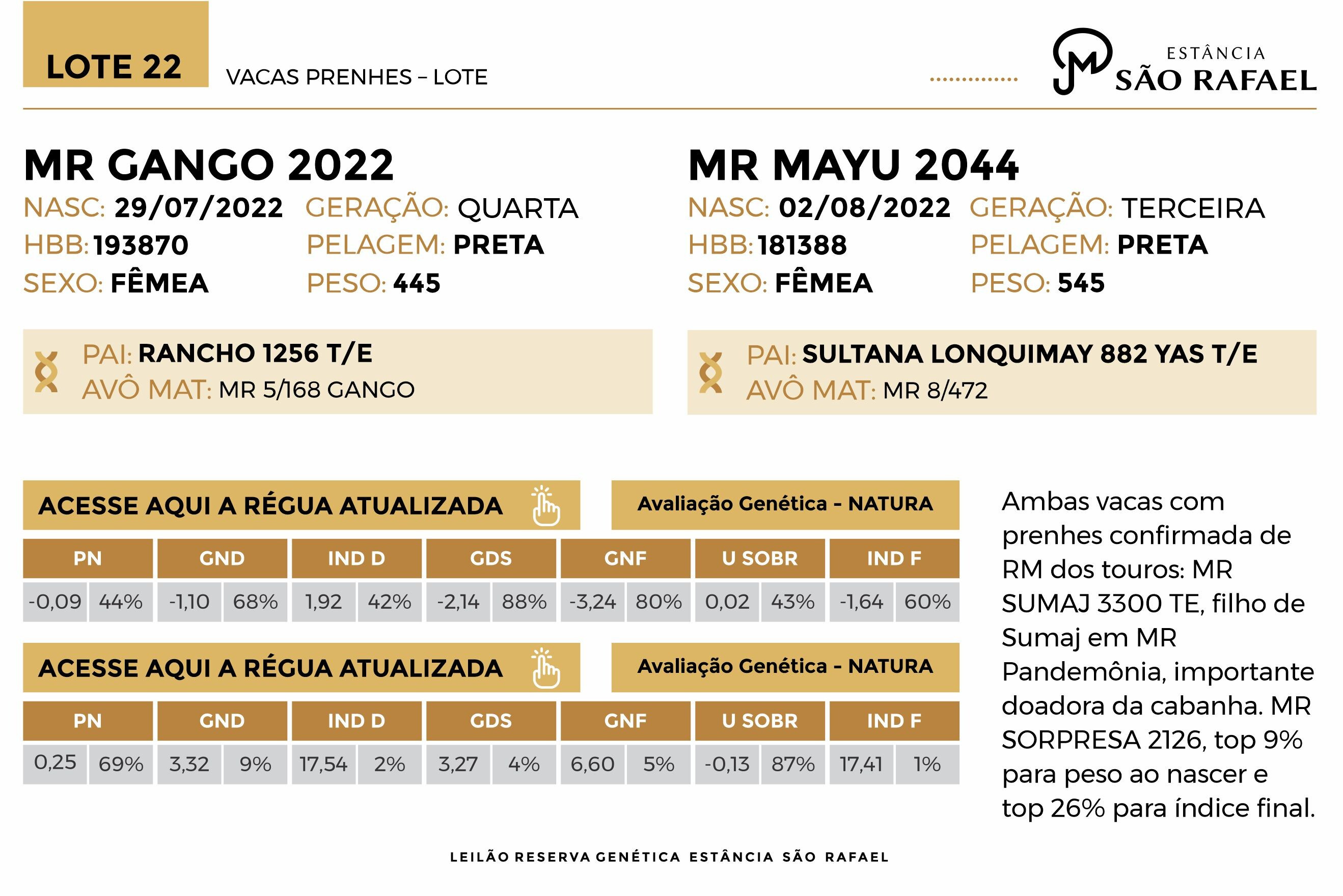 Geração VACAS PRENHES – LOTE