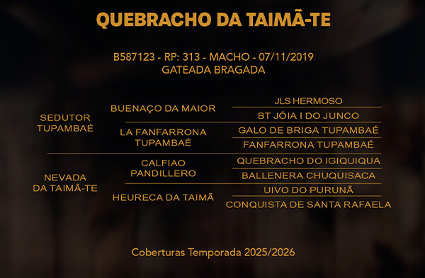 Geração QUEBRACHO DA TAIMÃ - TE