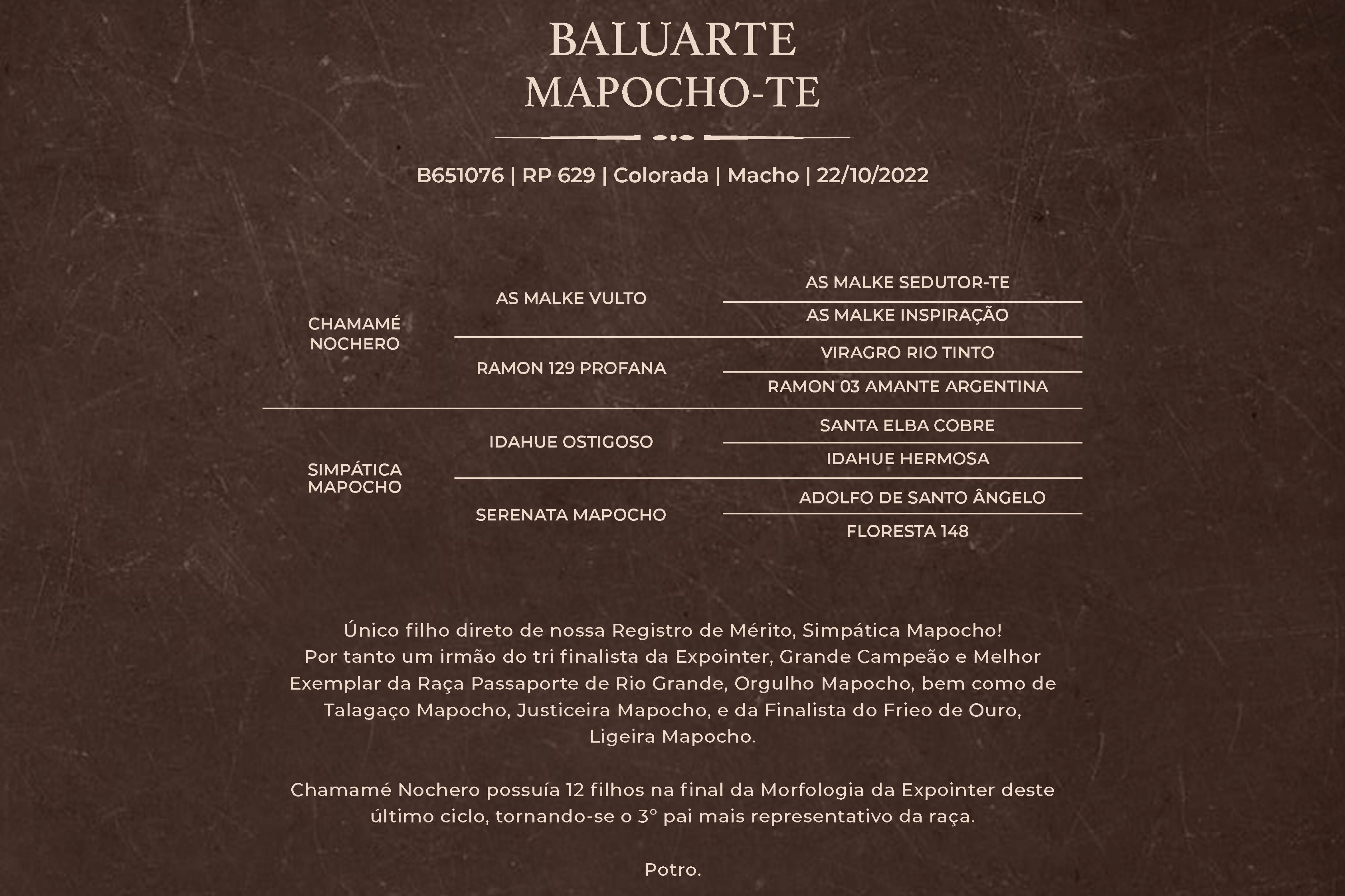 Geração BALUARTE MAPOCHO-TE
