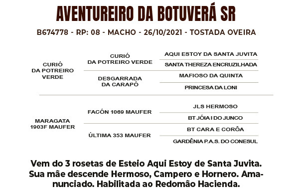 Geração AVENTUREIRO DA BOTUVERÁ SR