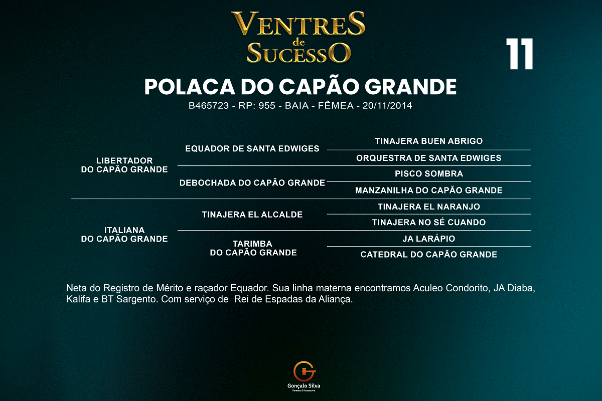 Geração POLACA DO CAPÃO GRANDE 