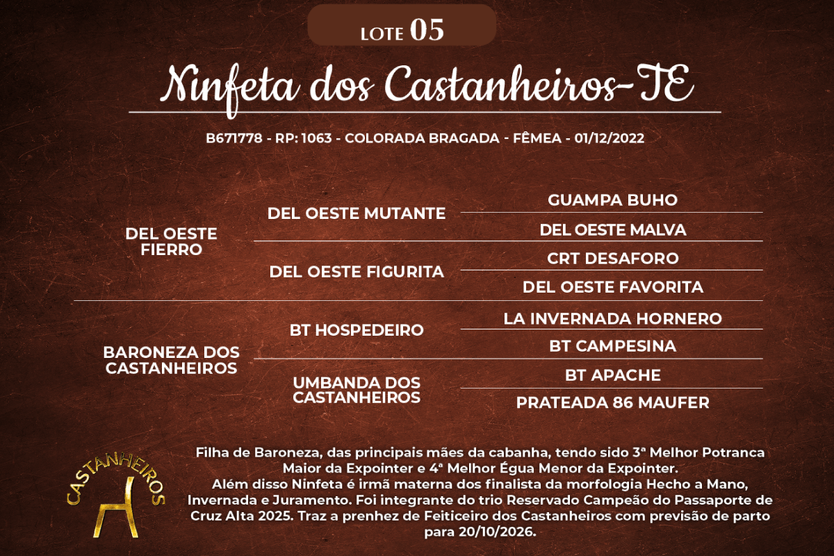 Geração NINFETA DOS CASTANHEIROS-TE